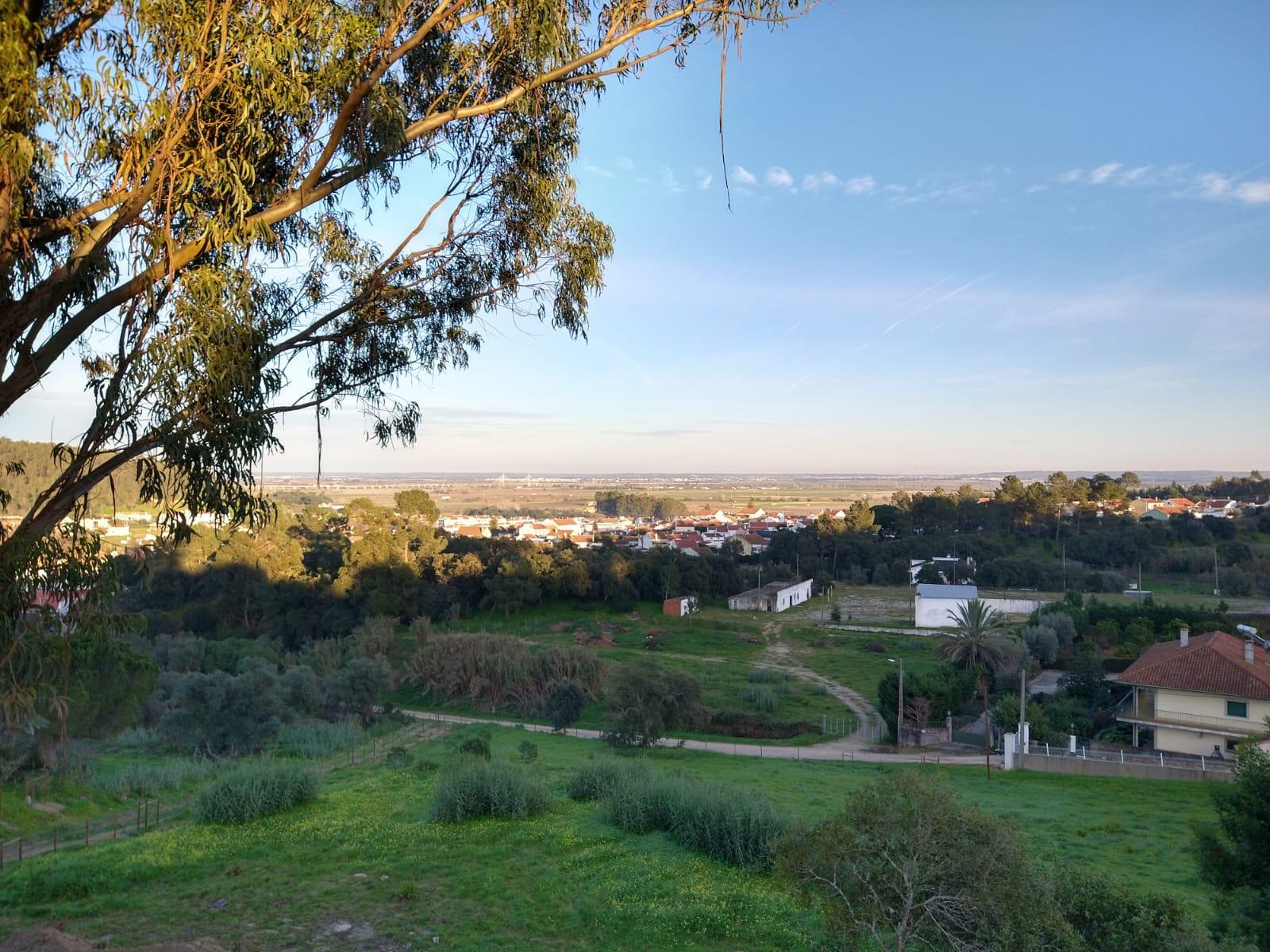 Lote Terreno - Santarém