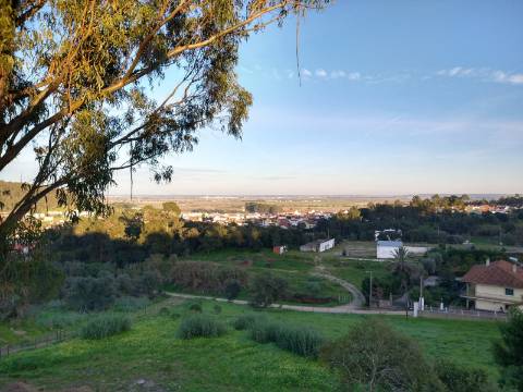 Lote Terreno - Santarém