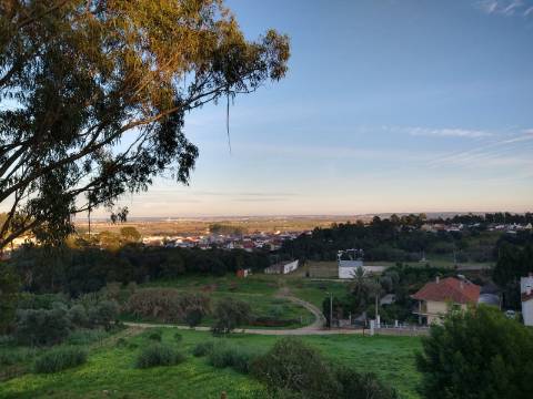 Lote Terreno - Santarém