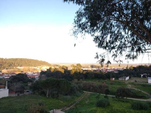 Lote Terreno - Santarém
