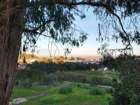 Lote Terreno - Santarém