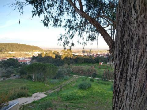Lote Terreno - Santarém