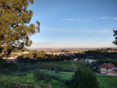 Lote Terreno - Santarém