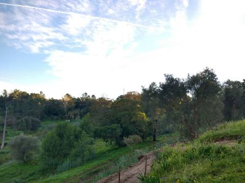 Lote Terreno - Santarém