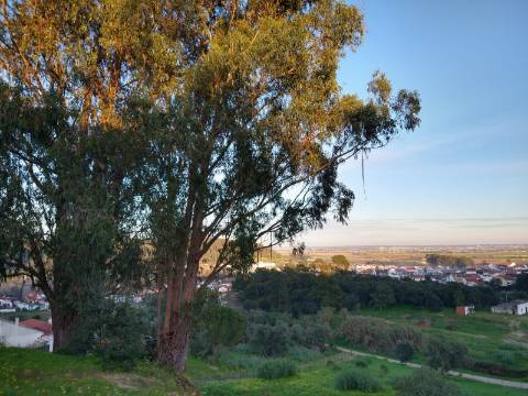 Lote Terreno - Santarém