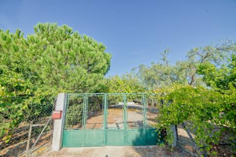 Moradia T2 - Santarém