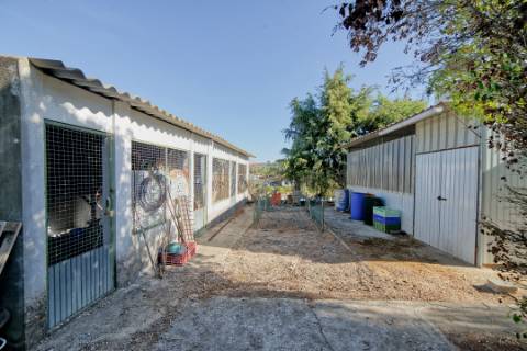 Moradia T2 - Santarém