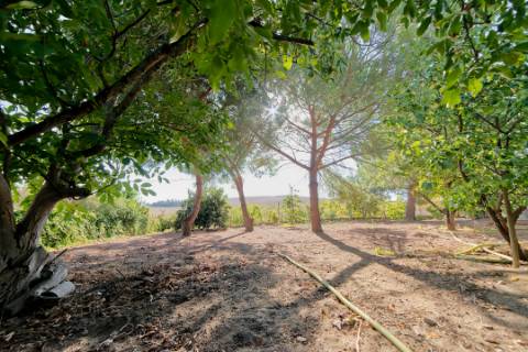 Moradia T2 - Santarém