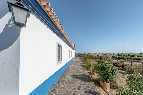 Monte para venda situado em Fortes Velhas - Ferreira do Alentejo