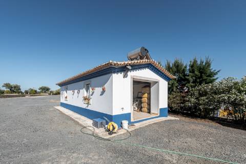 Monte para venda situado em Fortes Velhas - Ferreira do Alentejo