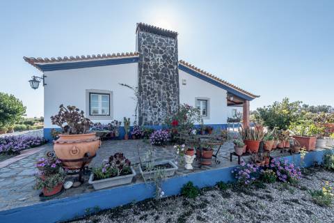 Monte para venda situado em Fortes Velhas - Ferreira do Alentejo