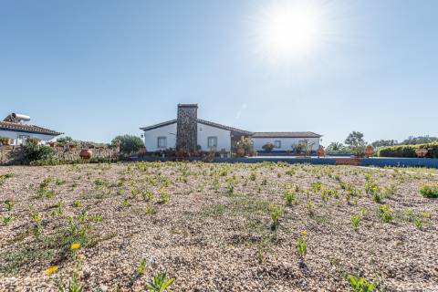 Monte para venda situado em Fortes Velhas - Ferreira do Alentejo