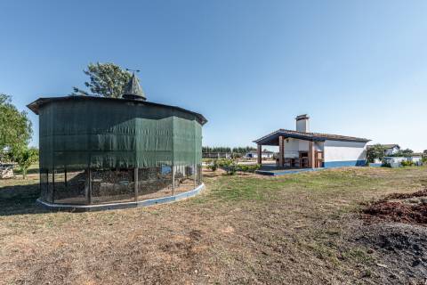 Monte para venda situado em Fortes Velhas - Ferreira do Alentejo
