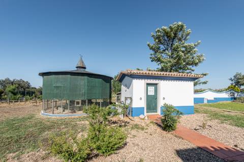 Monte para venda situado em Fortes Velhas - Ferreira do Alentejo