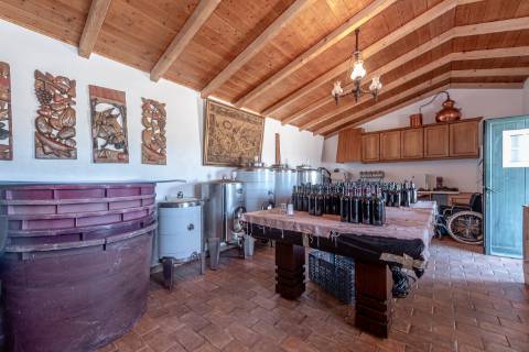 Monte para venda situado em Fortes Velhas - Ferreira do Alentejo