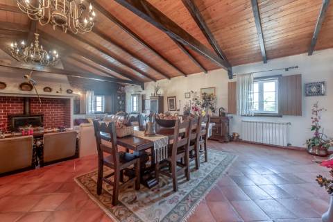 Monte para venda situado em Fortes Velhas - Ferreira do Alentejo