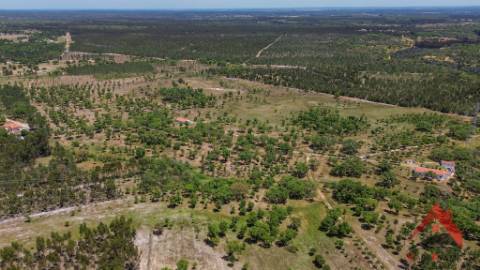 HERDADE DO BARRANCO - OPORTUNIDADE ÚNICA PARA TURISMO E INVESTIMENTO