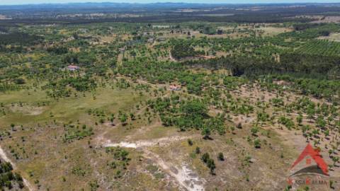 HERDADE DO BARRANCO - OPORTUNIDADE ÚNICA PARA TURISMO E INVESTIMENTO