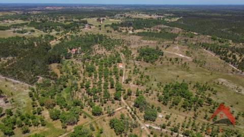 HERDADE DO BARRANCO - OPORTUNIDADE ÚNICA PARA TURISMO E INVESTIMENTO