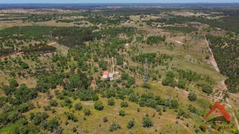 HERDADE DO BARRANCO - OPORTUNIDADE ÚNICA PARA TURISMO E INVESTIMENTO