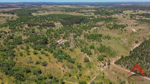 HERDADE DO BARRANCO - OPORTUNIDADE ÚNICA PARA TURISMO E INVESTIMENTO