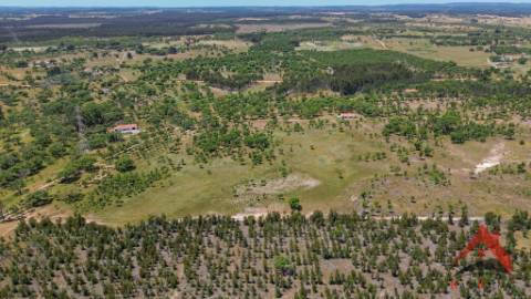 HERDADE DO BARRANCO - OPORTUNIDADE ÚNICA PARA TURISMO E INVESTIMENTO
