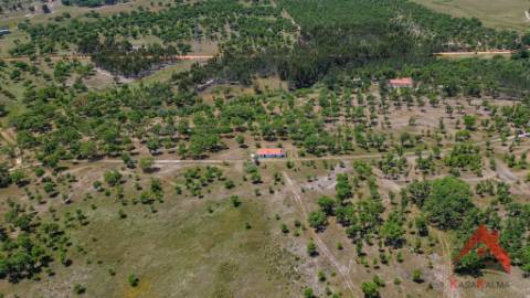 HERDADE DO BARRANCO - OPORTUNIDADE ÚNICA PARA TURISMO E INVESTIMENTO