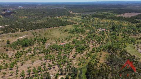 HERDADE DO BARRANCO - OPORTUNIDADE ÚNICA PARA TURISMO E INVESTIMENTO