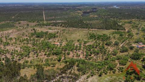 HERDADE DO BARRANCO - OPORTUNIDADE ÚNICA PARA TURISMO E INVESTIMENTO