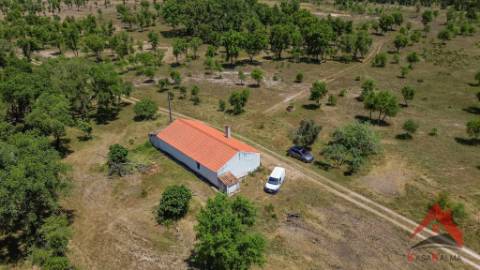 HERDADE DO BARRANCO - OPORTUNIDADE ÚNICA PARA TURISMO E INVESTIMENTO