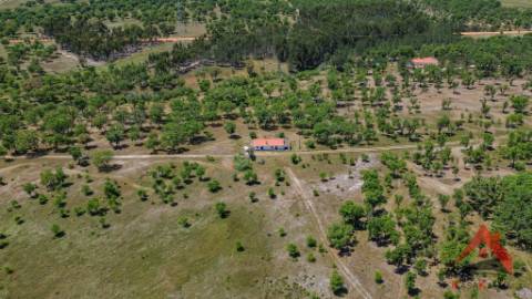 HERDADE DO BARRANCO - OPORTUNIDADE ÚNICA PARA TURISMO E INVESTIMENTO