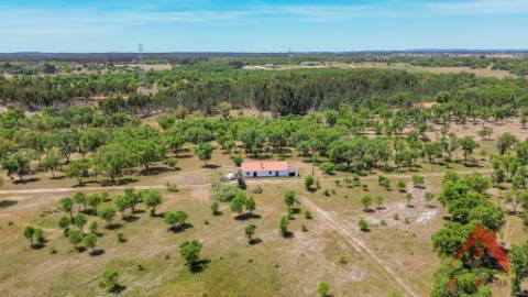 HERDADE DO BARRANCO - OPORTUNIDADE ÚNICA PARA TURISMO E INVESTIMENTO