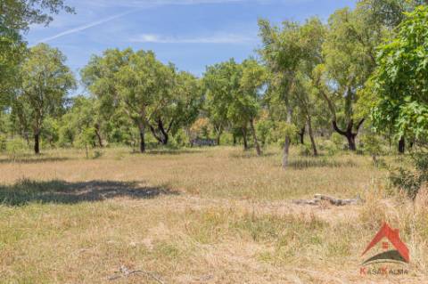 HERDADE DO BARRANCO - OPORTUNIDADE ÚNICA PARA TURISMO E INVESTIMENTO