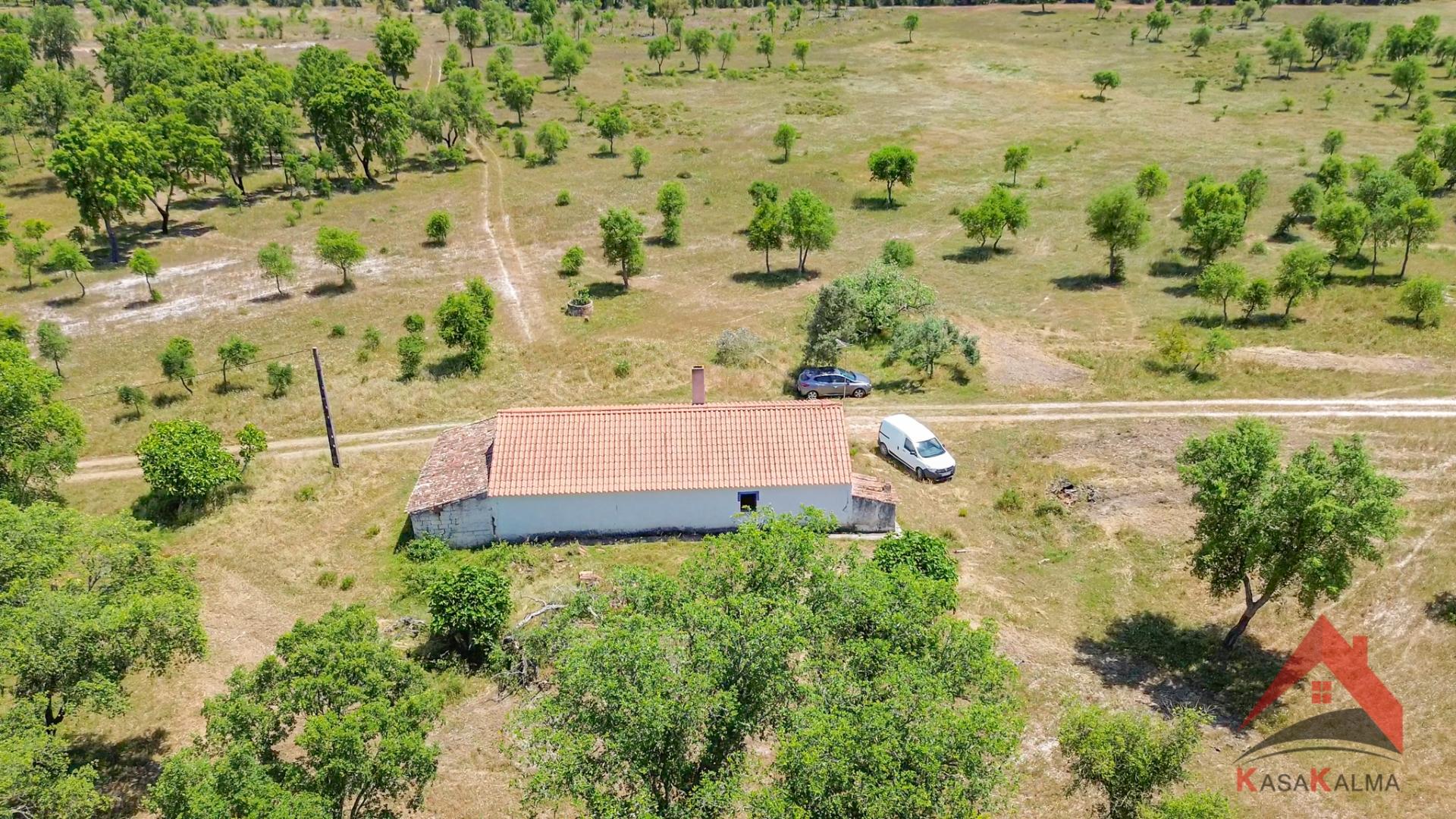 HERDADE COM 18,7 HA | TURISMO AGRICULTURA ENERGIA SOLAR