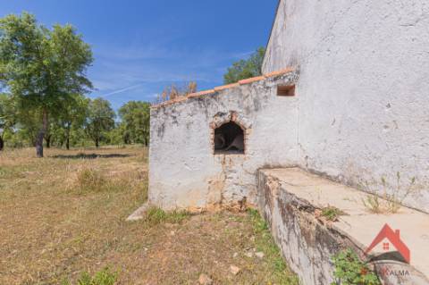 HERDADE COM 18,7 HA | TURISMO AGRICULTURA ENERGIA SOLAR