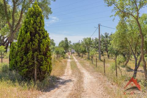 HERDADE COM 18,7 HA | TURISMO AGRICULTURA ENERGIA SOLAR