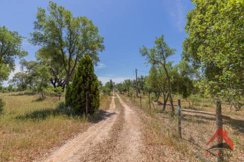 HERDADE COM 18,7 HA | TURISMO AGRICULTURA ENERGIA SOLAR