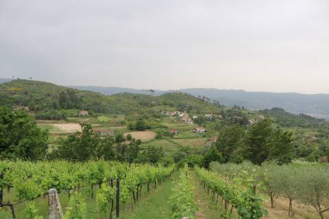 Quinta para Recuperar em Gestaçô, Baião