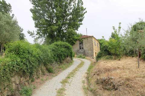 Quinta para Recuperar em Gestaçô, Baião