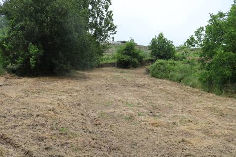 Quinta para Recuperar em Gestaçô, Baião