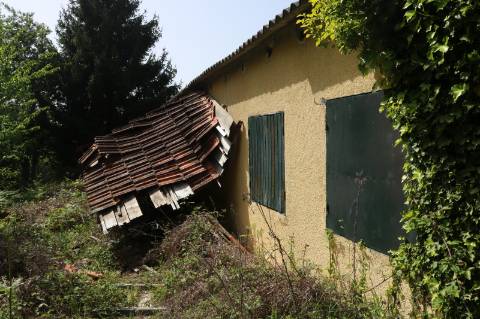 Quinta com 4 hectares