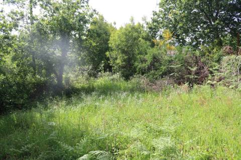 Quinta com 4 hectares