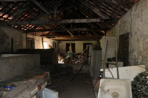 Quinta com 4 hectares