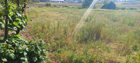 Terreno rústicos em Beire, Paredes