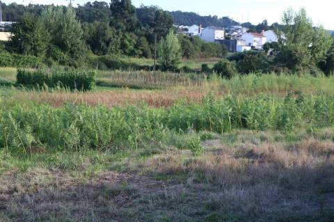 Terreno no centro de Paredes para construção de vivendas ou edifício em altura.