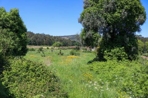 Quinta em Gondalães