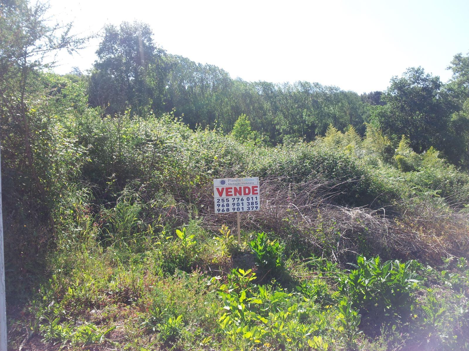 Terreno em Paredes com 22.000 m2, ótimo investimento.