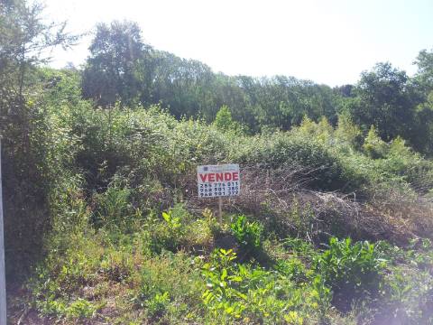 Terreno em Paredes com 22.000 m2, ótimo investimento.