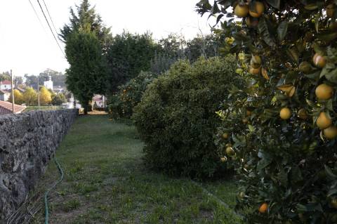 Quinta, Paços de Ferreira