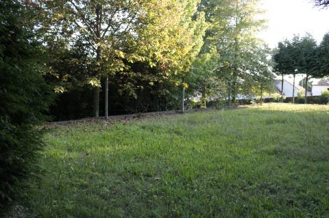 Quinta, Paços de Ferreira